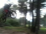 MotosNo6.jpg