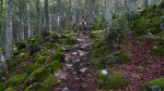 P1010674.jpg