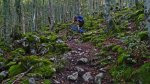 P1010677web.jpg