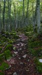 P1010673.jpg
