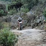 DSC_17770.jpg