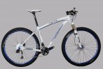 WCR29er_1.jpg