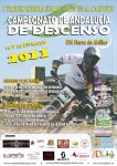 baja calidad cartel alcaudete okok.jpg