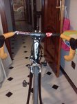 P1103_15-11-10.jpg