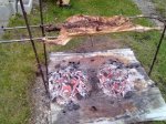 06052011391.jpg