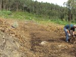 DSC01896d.JPG