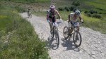NINER 762.jpg