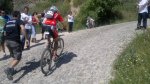 NINER 759.jpg