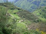 DSC01102.JPG