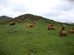 DSC01109.JPG