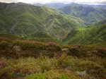 DSC01122.JPG