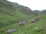 DSC01124.JPG
