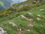 DSC01108.JPG