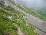 IMG_0723 [800x600].jpg