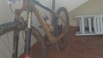 08052011197.JPG