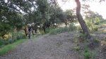 IMG_5828.jpg