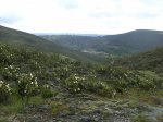 IMG_0039.JPG