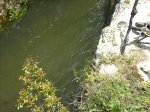 IMG_0053.JPG