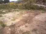 IMG041.jpg