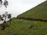 DSCN0917.jpg
