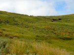 DSCN0903.jpg