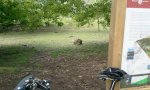 2011-05-07 15_03.45.14.JPG