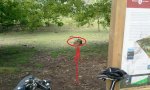 2011-05-07 15_03.45.14.JPG