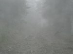 DSCN0539.jpg