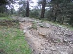 DSCN0620.jpg
