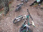 DSCN0625.jpg