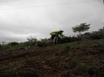 DSCN0641.jpg