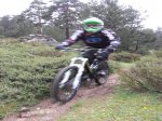 DSCN0617.jpg