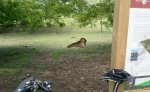 2011-05-07 15_03.45.14.JPG