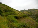 DSCN0924.jpg