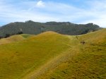 DSCN0951.jpg