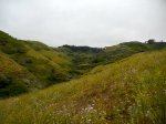DSCN0933.jpg