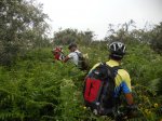 DSCN0940.jpg