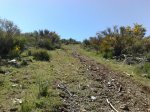 080520111873.jpg