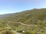 080520111893.jpg
