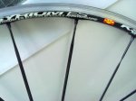 06052011189.jpg
