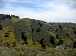 DSCN0955.jpg