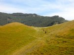 DSCN0952.jpg