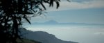 DSC_8411.JPG
