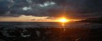DSC_8374.JPG