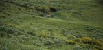 DSC_8425.JPG