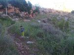IMG00509-20110507-2054.jpg