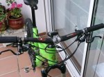 Ibis2011w3.JPG
