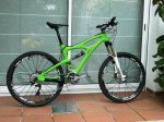 Ibis2011w1.JPG