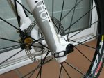 Ibis2011w4.JPG