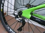 Ibis2011w6.JPG